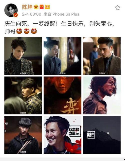 导演爆料陈坤视频大全,视频大全背后的精彩瞬间